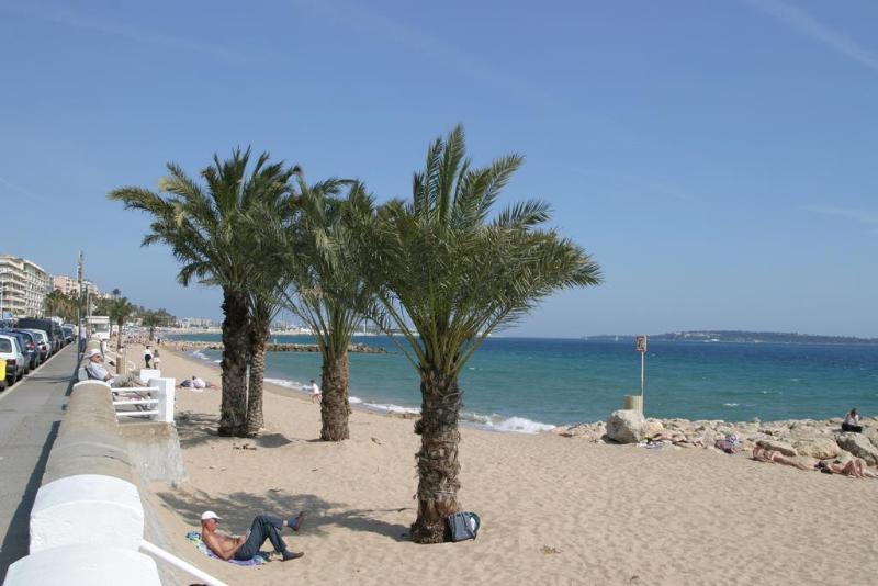 Le Vieux Port Apartments Κάννες Εξωτερικό φωτογραφία